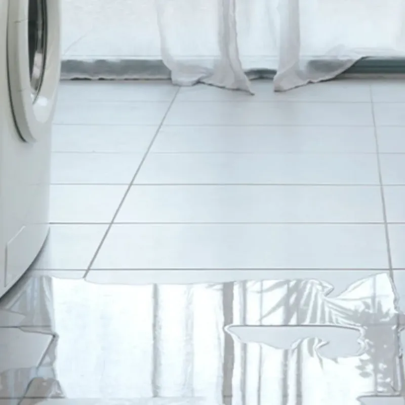 Appliance Leak Cleanup in Webberville, MI