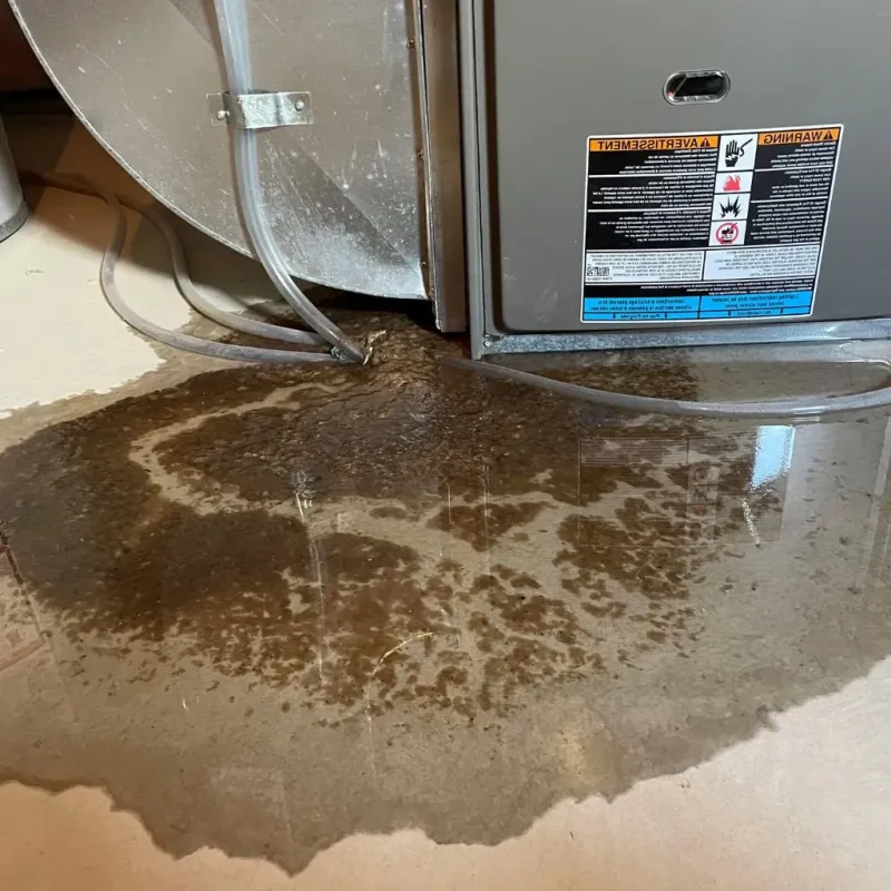 Pipe Burst and Leak Restoration in Webberville, MI