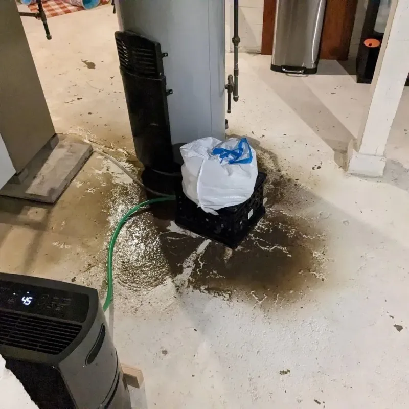Sewage Backup Cleanup Service in Webberville, MI